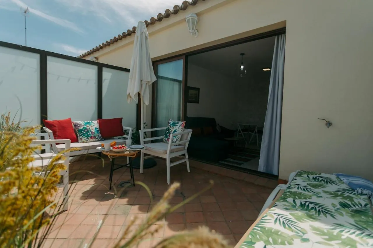 Appartement O&L Lumbreras: Bright Duplex With Private Terrace à Séville Espagne